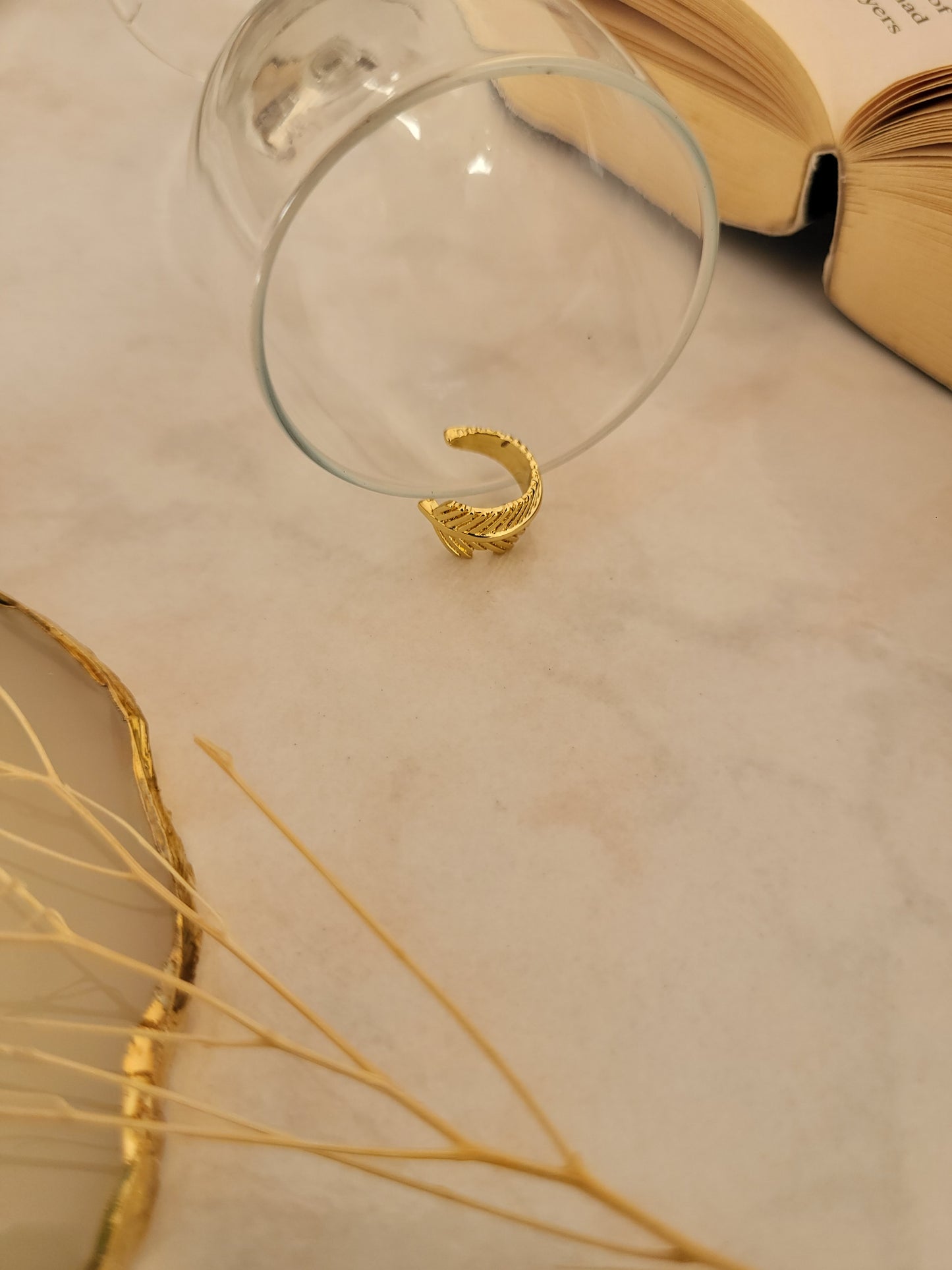 Ear Cuff de plumas - Acero inoxidable / No se necesita perforación